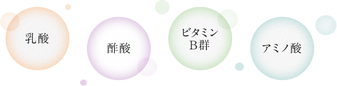 乳酸・酢酸・ビタミンB群・アミノ酸