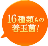 16種類もの善玉菌！